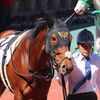 馬体の回復が進んできて乗り込みを強化。今後は北海道シリーズへの参戦することが決まり、先月２１日にＮＦ早来へ移動しています。☆クラシックステップ