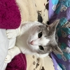 風強っっ😨😨