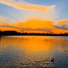 乙戸沼公園の夕陽（土浦市）（１１）～つくば市とその周辺の風景写真案内（９７７）