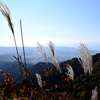 2016年の紅葉（大山）