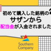  【米国株投資】米国株を初めて購入したサザンから配当金が入金されました【SO】