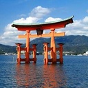 Pokemonhiroshimaoff’s blog