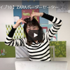 【朝ライブ10 】ZARAのボーダーセーターと思い込み【Youtubeライブ配信】