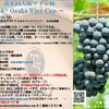 2023/7/1（土）第6回大阪ワイン杯 6th Osaka Wine Cup on July 1st!