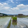 無農薬で米作り。今日から田植えが始まりました。