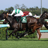 日曜競馬　展望