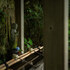Weekend Snaps 2025 #04