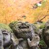 京都紅葉鑑賞旅行　2024年11月末｜嵐山周辺の紅葉状況（天龍寺、宝厳院、祇王寺、愛宕念仏寺、あだし野念仏寺、厭離庵、清凉寺、宝筐院、鹿王院）