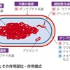 抗菌薬の全体図