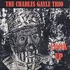  Charles Gayle / Look Up