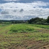 除草剤の散布とツルぼけ