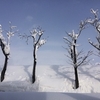 土手の雪