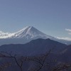 滝子山の積雪