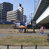 地獄のイベント週刊三十八週目後半・丸子橋de.HINATA アウトドアフェスティバル
