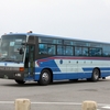 沖縄バス / 沖縄22き ・263
