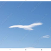 仏教解釈　22 鳳凰雲を追いかけるな