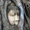 旅行写真：2017年のアユタヤ（2日目） - Ayutthaya（タイ・アユタヤ）