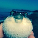 銭ごんの小金持ちへの道