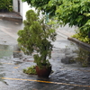 冷たい雨の朝