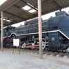 飛鳥山公園のD51-853
