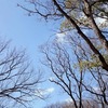大泉緑地へお写ン歩～♪