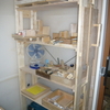 ＜DIY＞棚を作る　③　完成