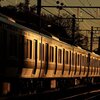 冷え込む朝、差し込む朝日
