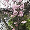 新年度と新たな始まり