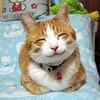 婆ちゃんの楽しみ