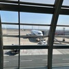 エアラインレビュー　B767-300 ANA国内線　羽田-伊丹　