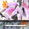 【Procreate】水彩表現の幅が広がるWater colorブラシセット3選【2019年6月】