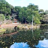 大原野神社と柴わんこ