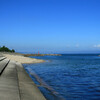 八重津浜海水浴場と周辺の風景