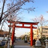  【鎌倉】鶴岡八幡宮段葛の桜は今週末が見頃（2018年3月27日）