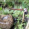 秋の気候になったのか？
