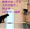 障害があっても工夫次第で♪  例えば  CATタワー補修　