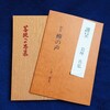 石ころだらけの因縁を浄化した話　その２
