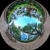 処暑の播磨坂の360度写真