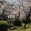 花見日和♪( ´▽｀)