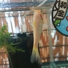 外からの物を金魚部屋に集める
