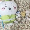 今日の戦利品