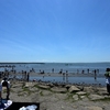 🏖️葛西臨海公園で海遊びをしました😊