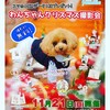 本日 11/21(日)はクリスマス撮影会  千葉 茂原市 茂原珈琲  昼めし旅 で紹介されたお店です