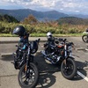 Harley-Davidson Sportster Forty-Eight と IRON 1200 でプチ箱根ツーリングに行ってきました！ #ハーレー #スポーツスター #Harley #Sportster #XL1200NS 