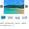 新鹿