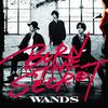 【アルバム感想】『BURN THE SECRET』　WANDS