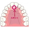 「舌の位置」って意識したことありますか？