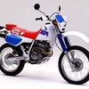 ＨＯＮＤＡ　ＸＬＲ　２５０