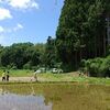 森の幼稚園で野草料理教室