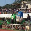 成田POPラン10km走ってきました！